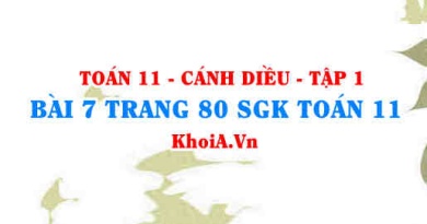 Bài 7 trang 80 SGK Toán 11 tập 1 Cánh Diều